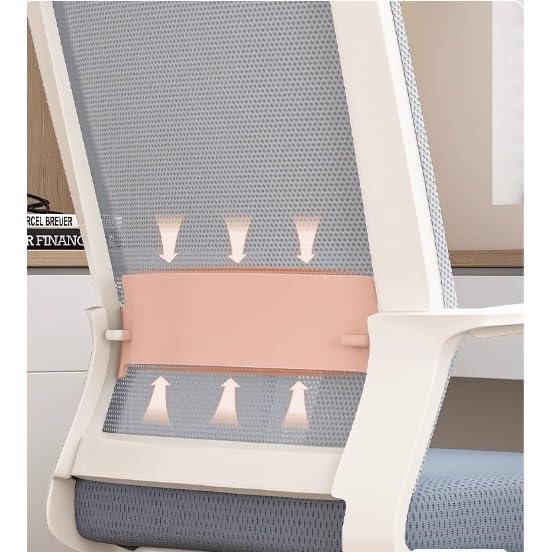 Ergonomic Middle Back Breathable Mesh Office Chair D917