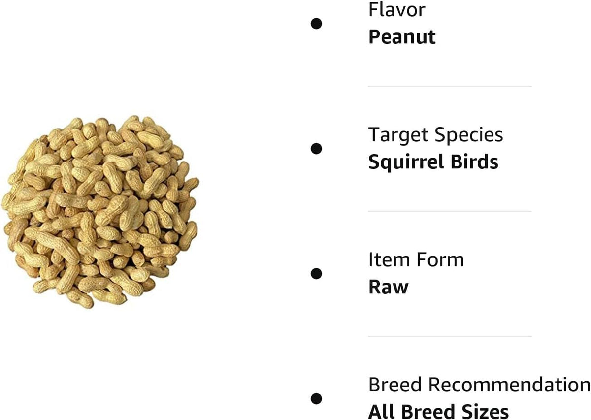 Raw Peanuts in Shell 5LB R1048