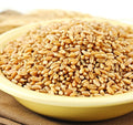Hard White Spring Wheat Berries, 25 Lb. Bag T8358