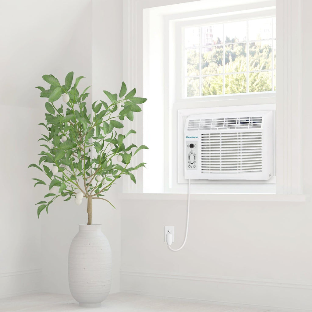 8,000 BTU Window Air Conditioner H110