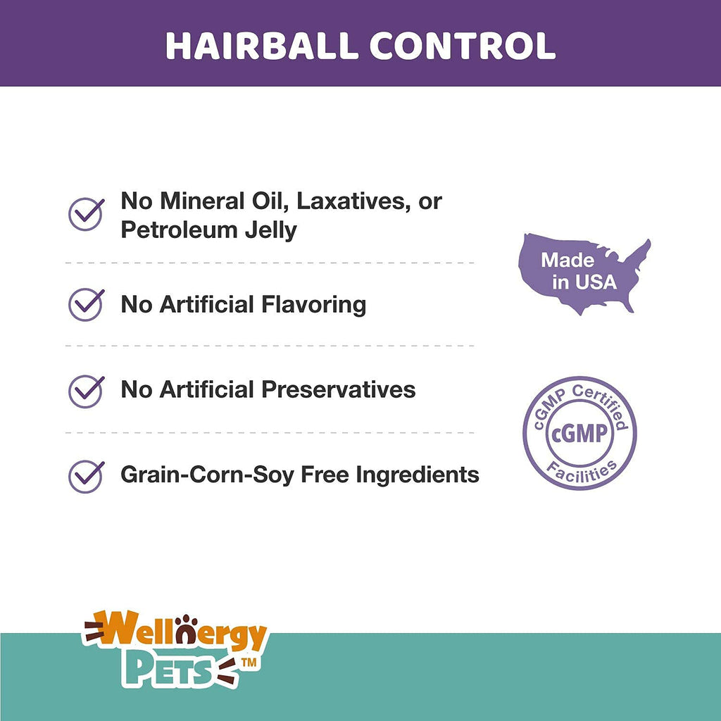 Natural Hairball Control Chews for Cats with Omega 3 6 Fatty Acids 70ct C933997