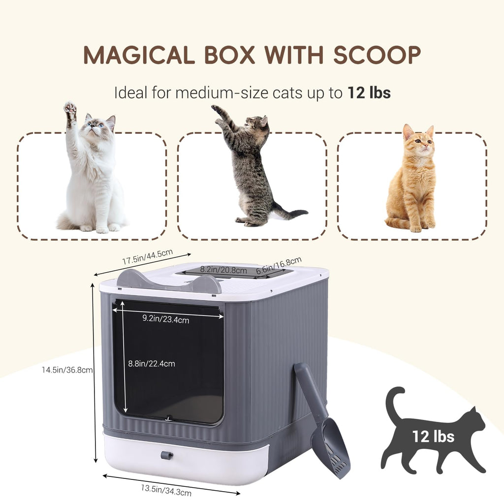 Covered Cat Litter Box with Lid Y30834