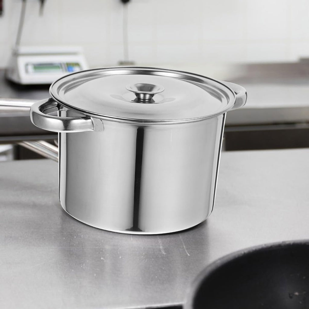 Stainless Steel Double Handle Stock Pot with Lid S187