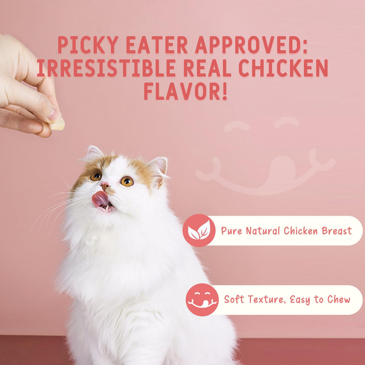 Freeze Dried Chicken Breast Cat & Dog Treats 2.82oz Single Ingredient Grain-Free Y13303