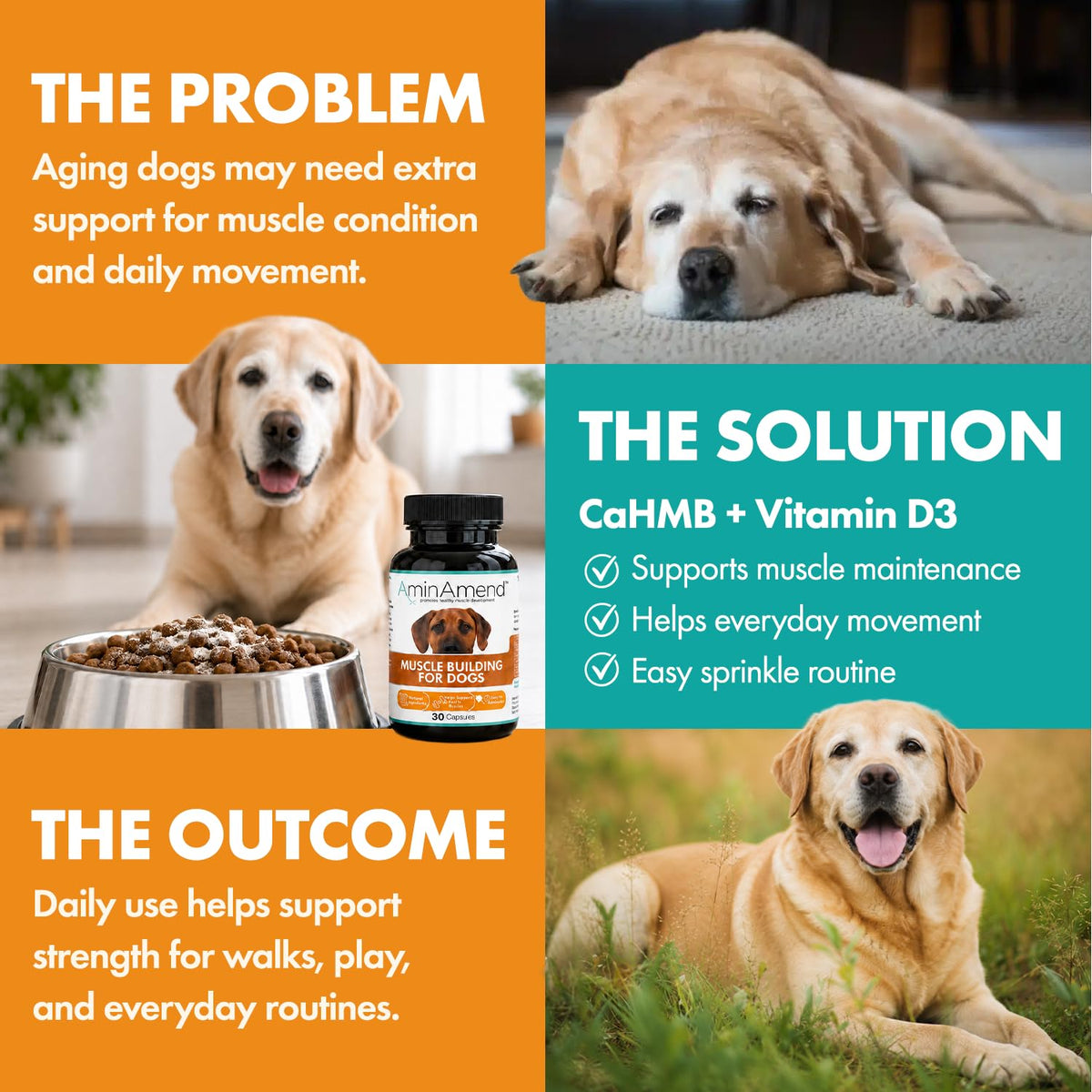 430 mg Muscle Support for Dogs, 30 Ct., 2-Pack J6820