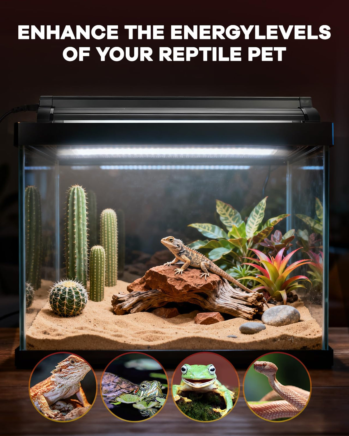 8W T5 UVB Reptile Light Fixture Combo Kit T663