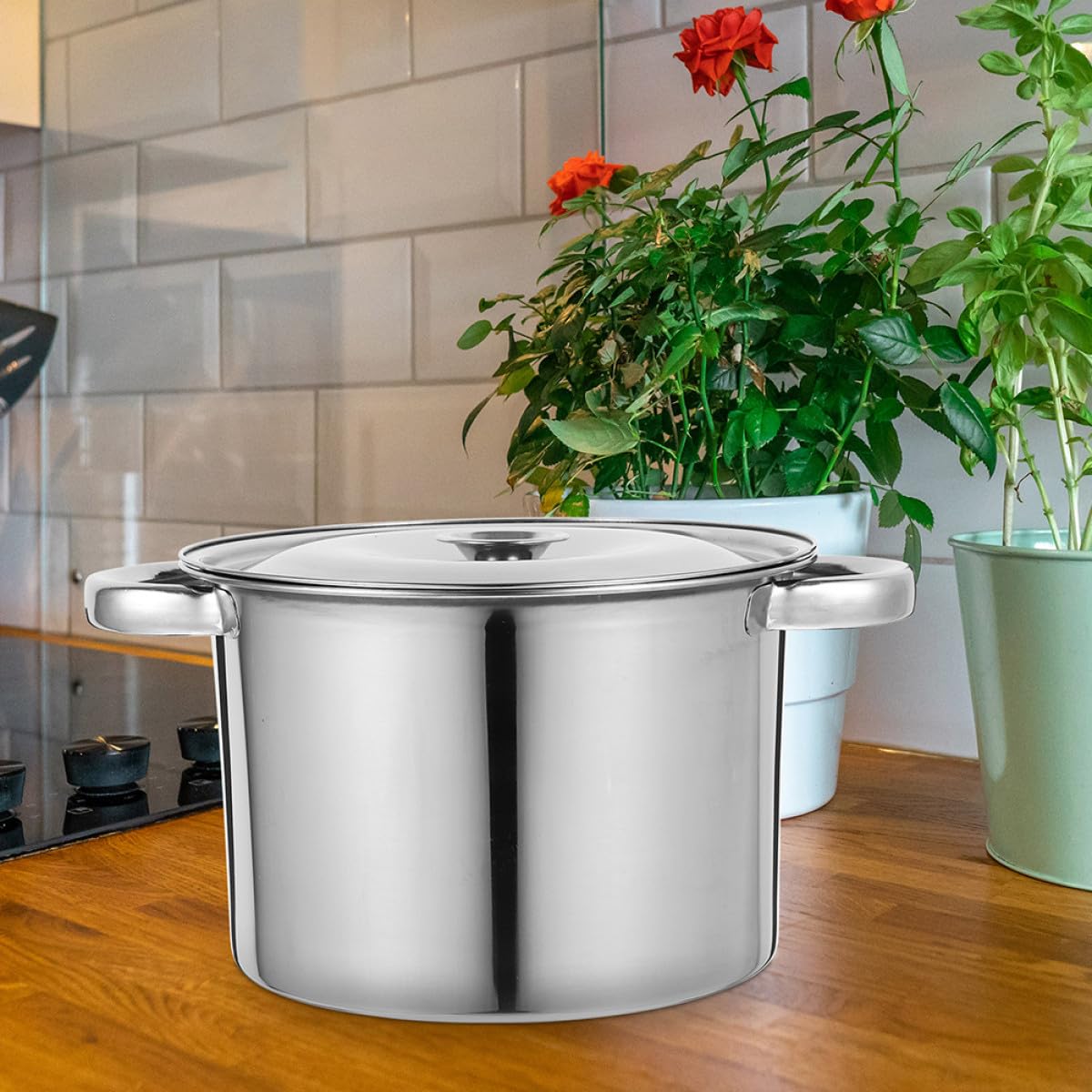Stainless Steel Double Handle Stock Pot with Lid S187