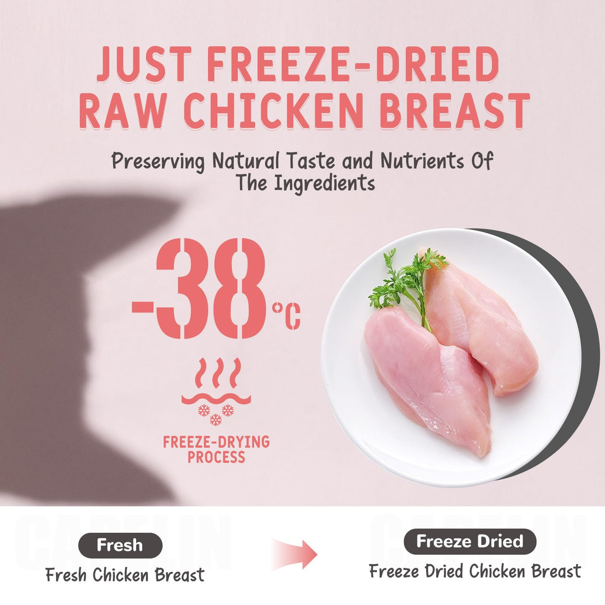 Freeze Dried Chicken Breast Cat & Dog Treats 2.82oz Single Ingredient Grain-Free Y13303