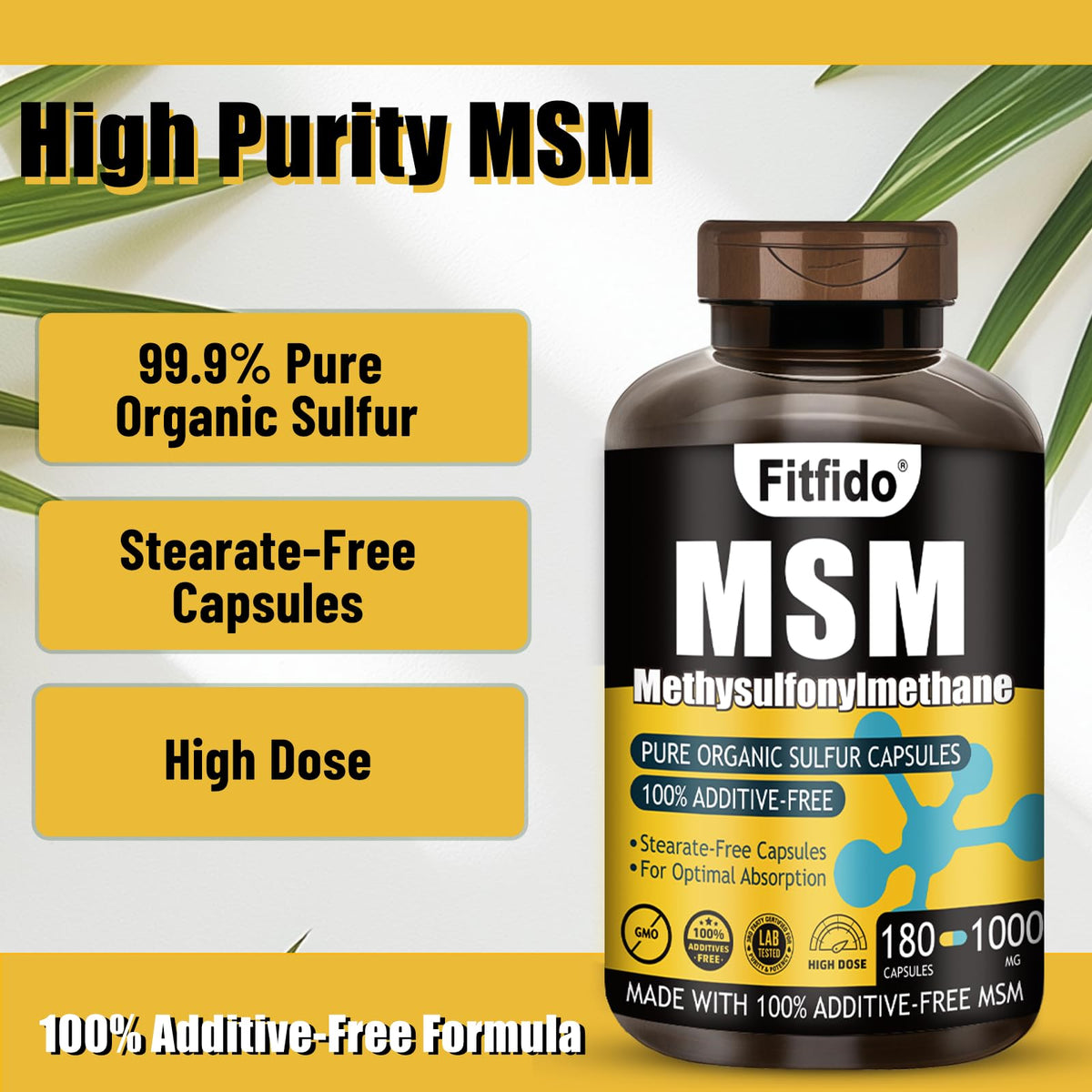MSM Capsules 1000mg 180 Count H539