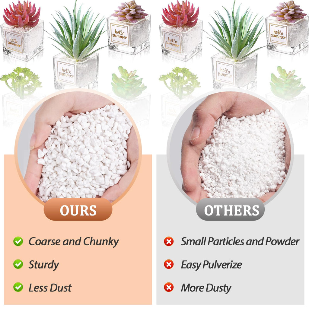 4QT Organic Horticultural Perlite Soil Amendment M69806