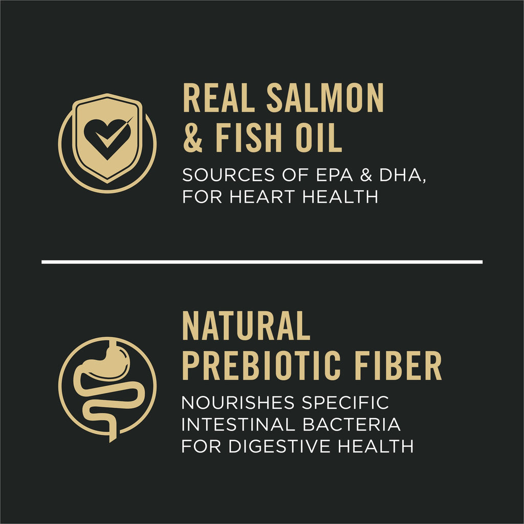 Salmon Dry Dog Food 16 lb Bag E70201