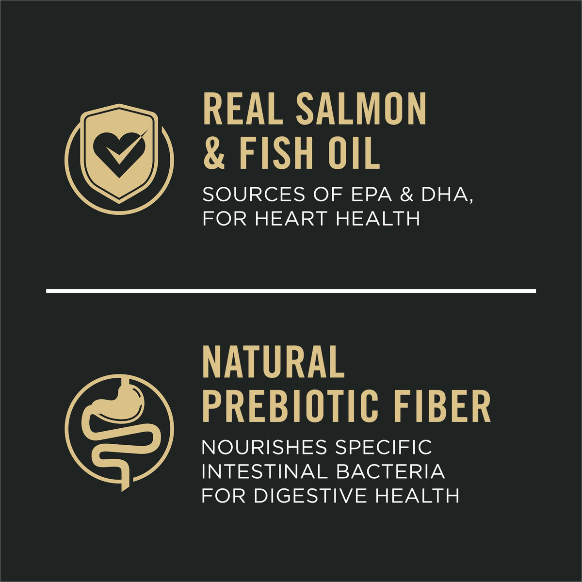 Salmon Dry Dog Food 16 lb Bag E70201