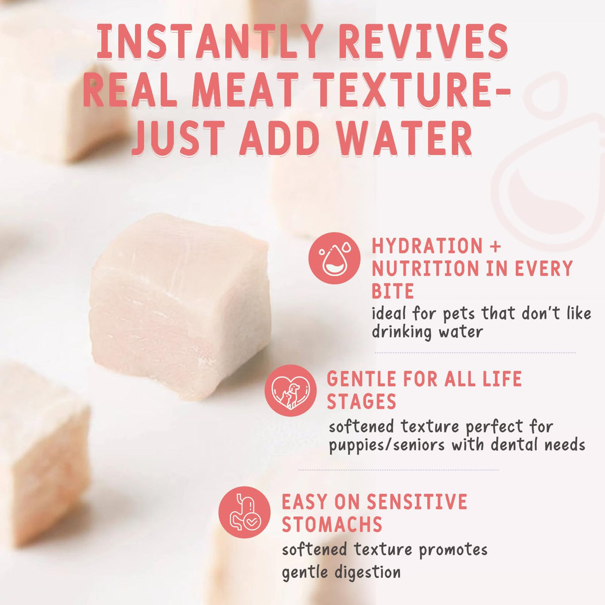 Freeze Dried Chicken Breast Cat & Dog Treats 2.82oz Single Ingredient Grain-Free Y13303