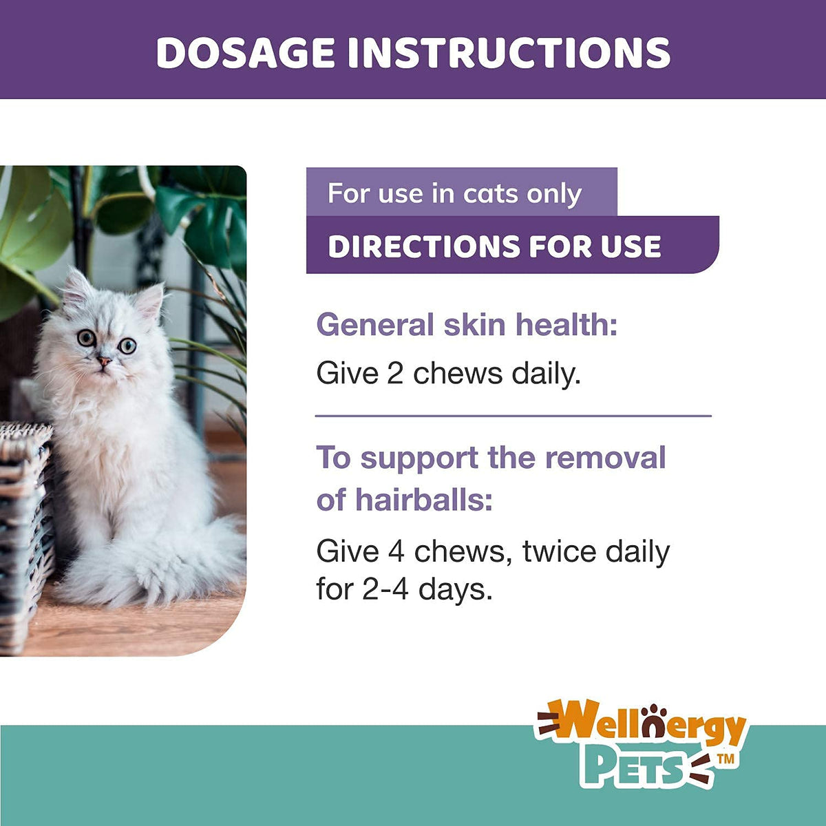 Natural Hairball Control Chews for Cats with Omega 3 6 Fatty Acids 70ct C933997