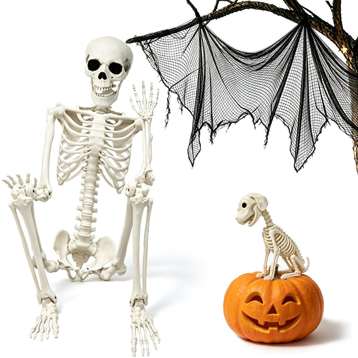 Life Size Posable Skeleton with Dog & Creepy Cloth M68048