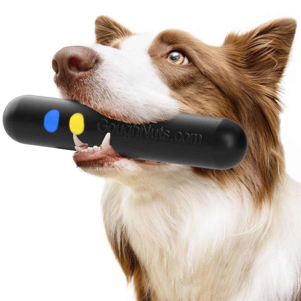 Heavy Duty Rubber Dog Toy Q24474