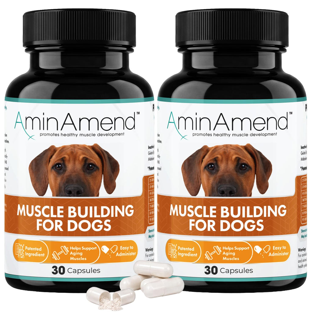 430 mg Muscle Support for Dogs, 30 Ct., 2-Pack J6820