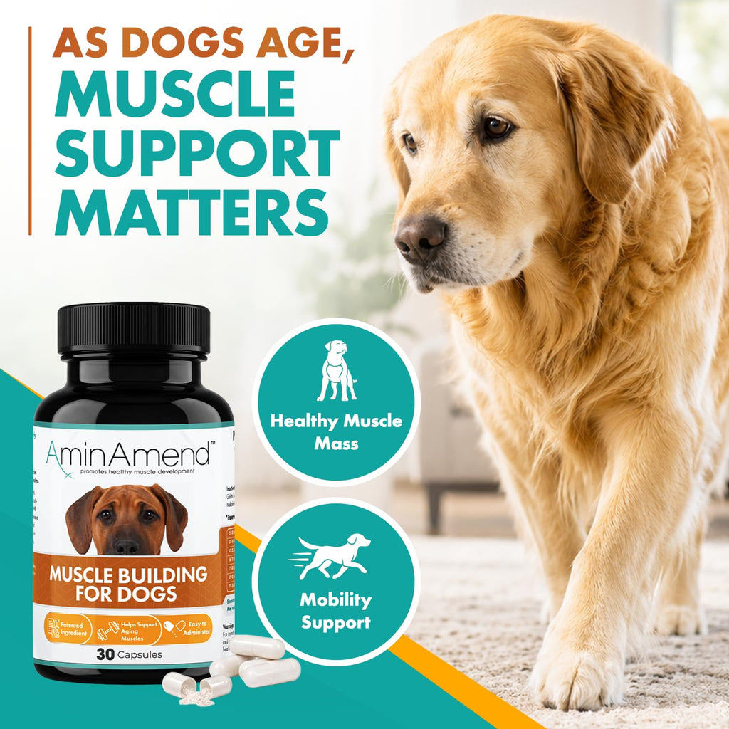 430 mg Muscle Support for Dogs, 30 Ct., 2-Pack J6820