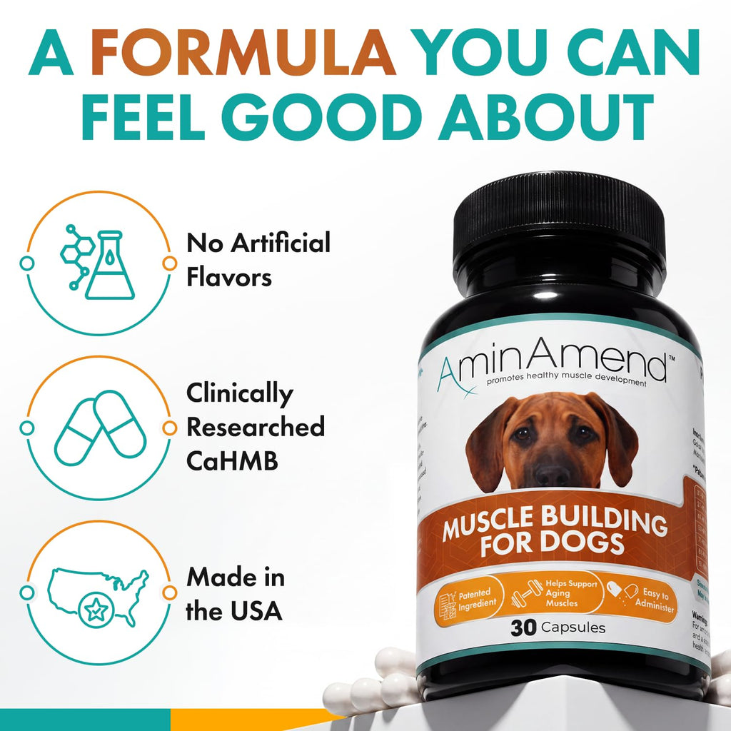430 mg Muscle Support for Dogs, 30 Ct., 2-Pack J6820