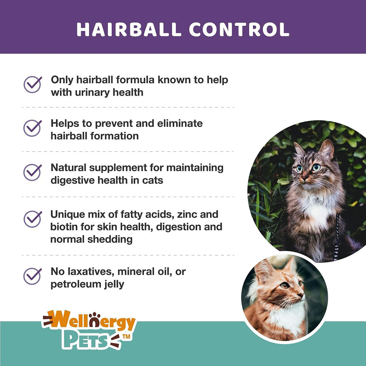 Natural Hairball Control Chews for Cats with Omega 3 6 Fatty Acids 70ct C933997