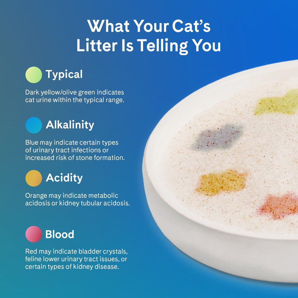 Unscented 6 lb. 2-Pack Cat Litter Q988485
