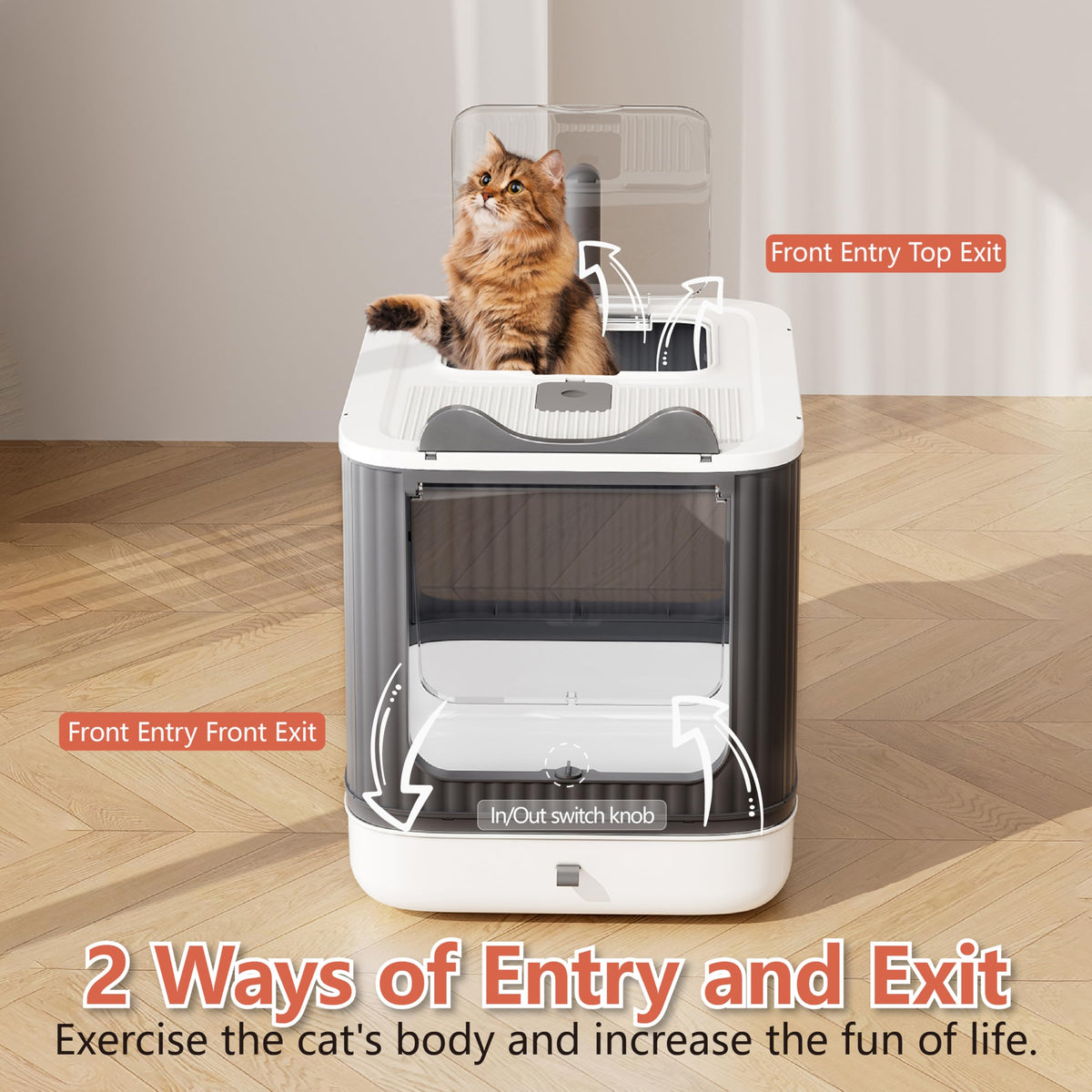 Covered Cat Litter Box with Lid Y30834