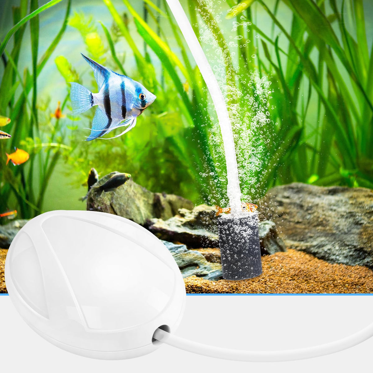 Aquarium Air Pump with Stones, Airline Tubing, Check Valves D8310