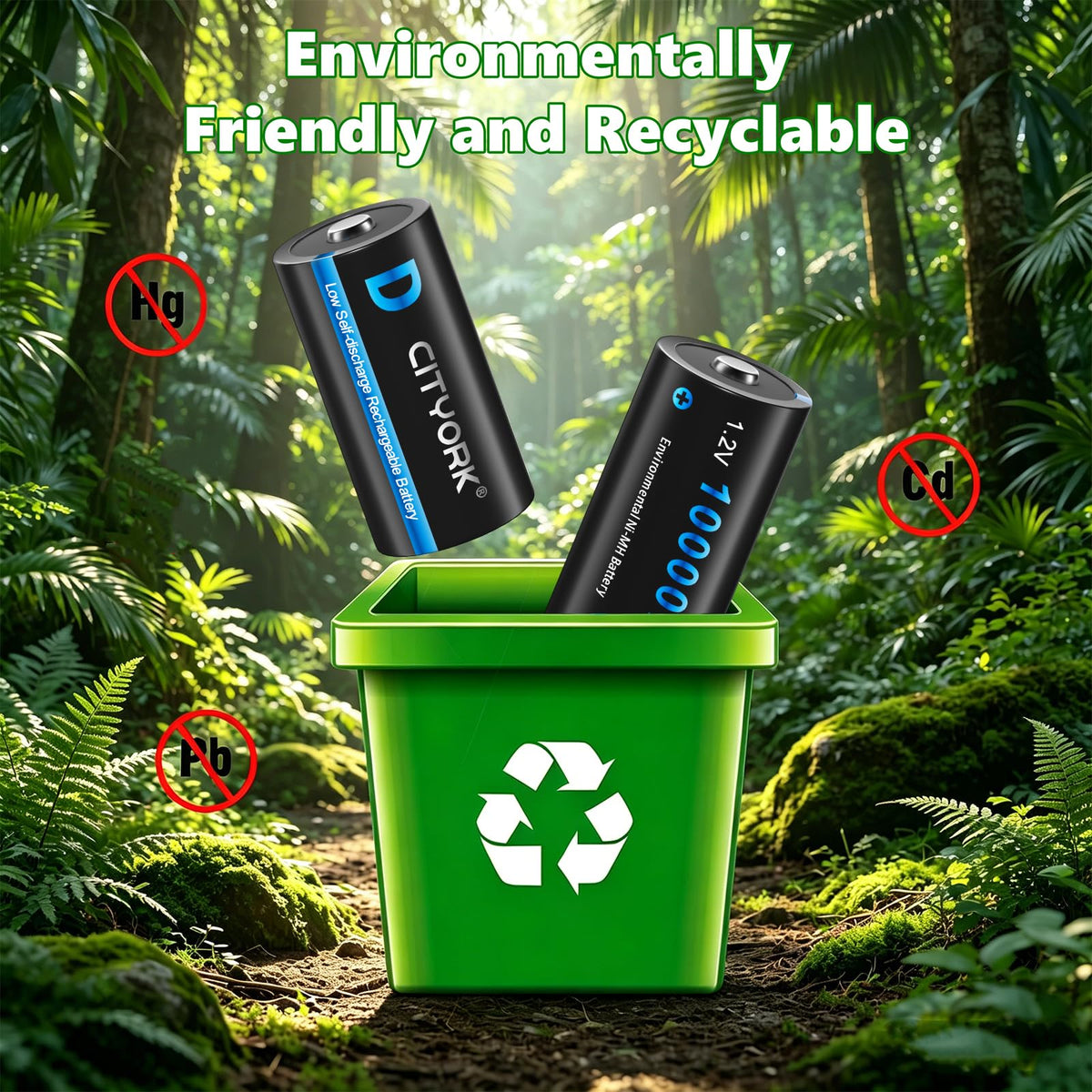 4 Pack Rechargeable D Batteries 10000mAh H785