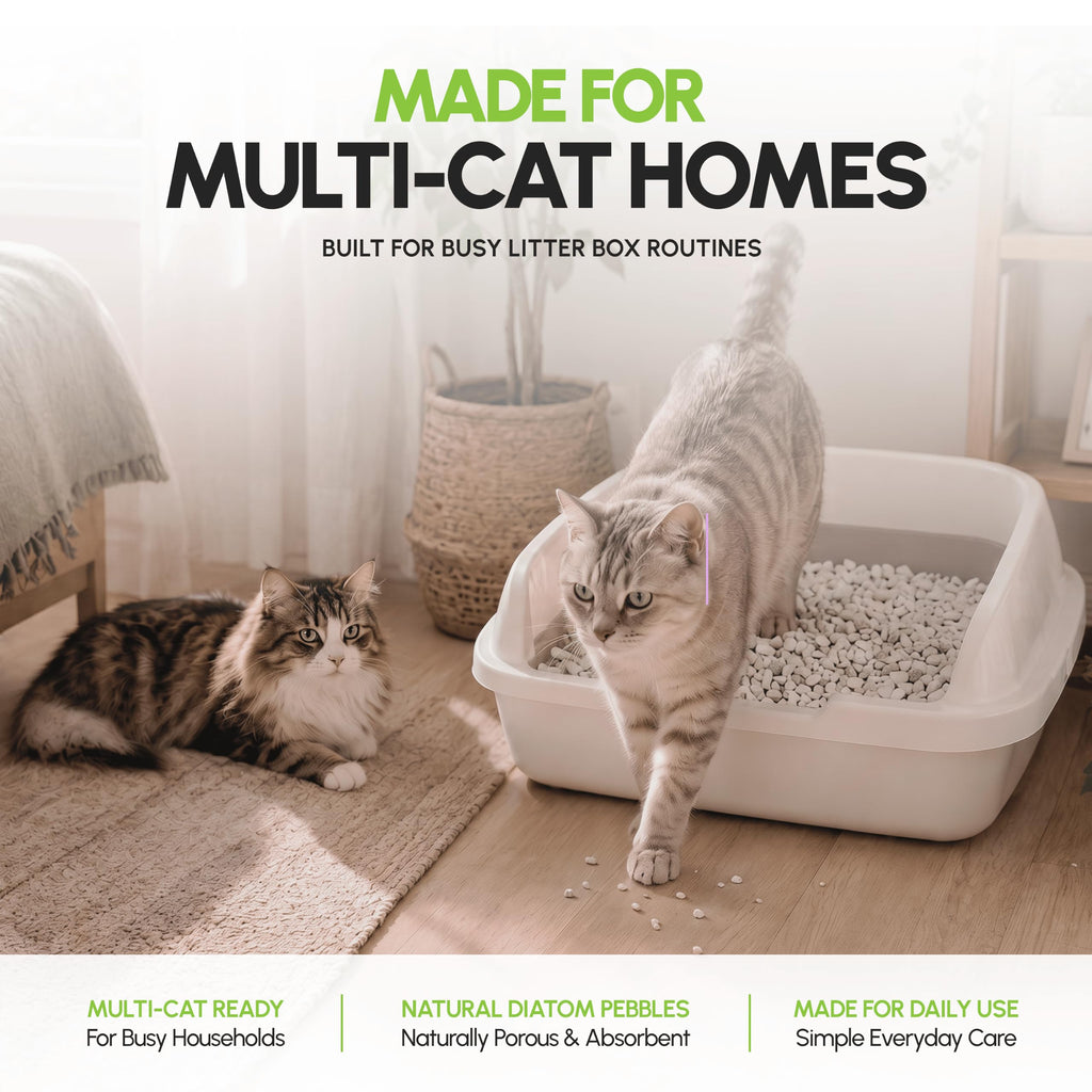 All Natural Unscented Cat Litter 8 lbs R698