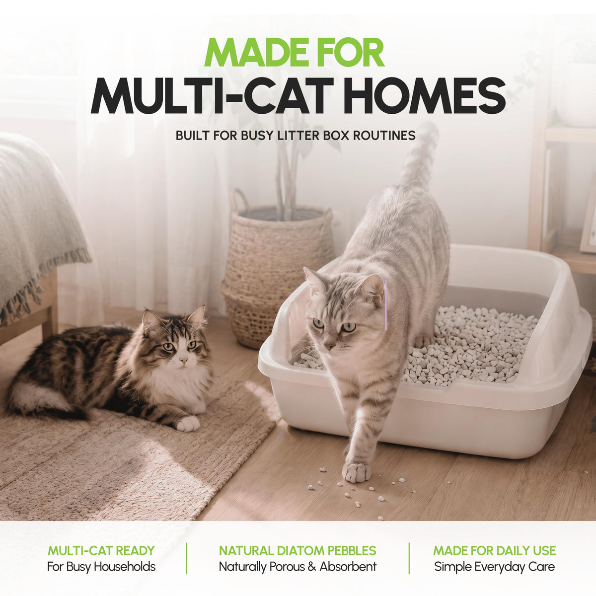 All Natural Unscented Cat Litter 8 lbs R698
