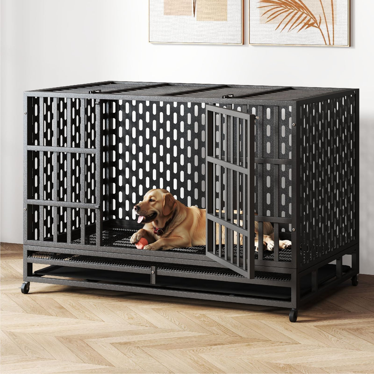 48 Inch Heavy Duty Dog Crate F749137