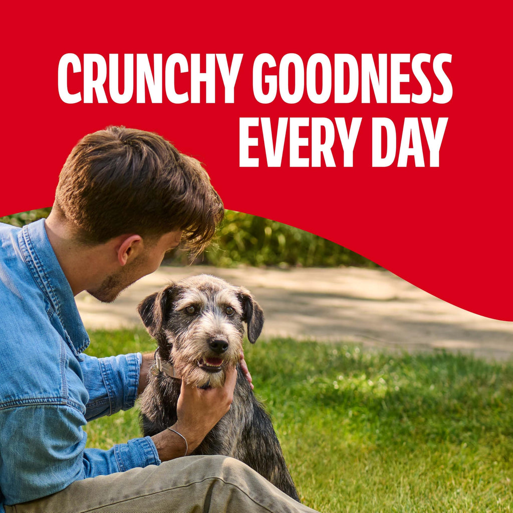 Gravy Coated Small Dog Biscuits U492