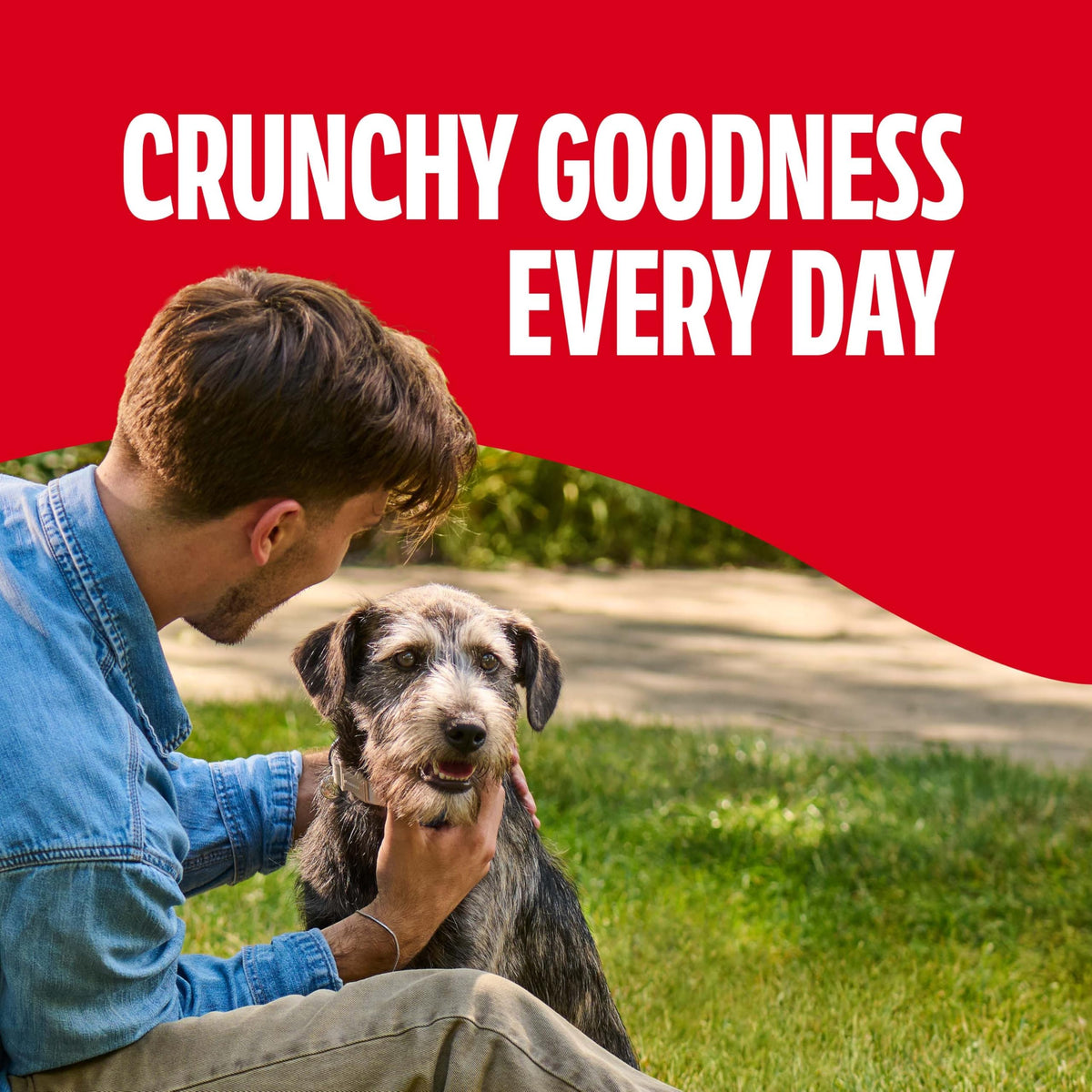 Gravy Coated Small Dog Biscuits U492